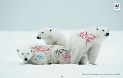 Wwf White Bear
