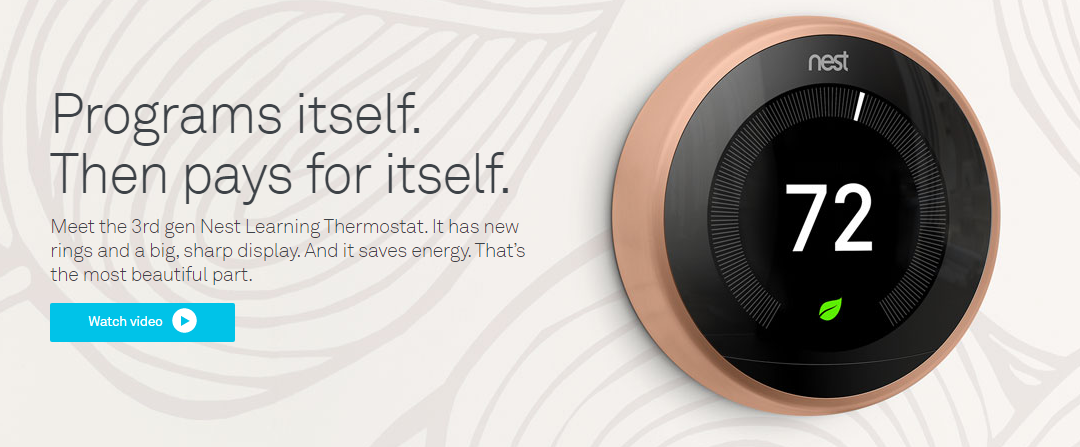 Nest-programs-itself