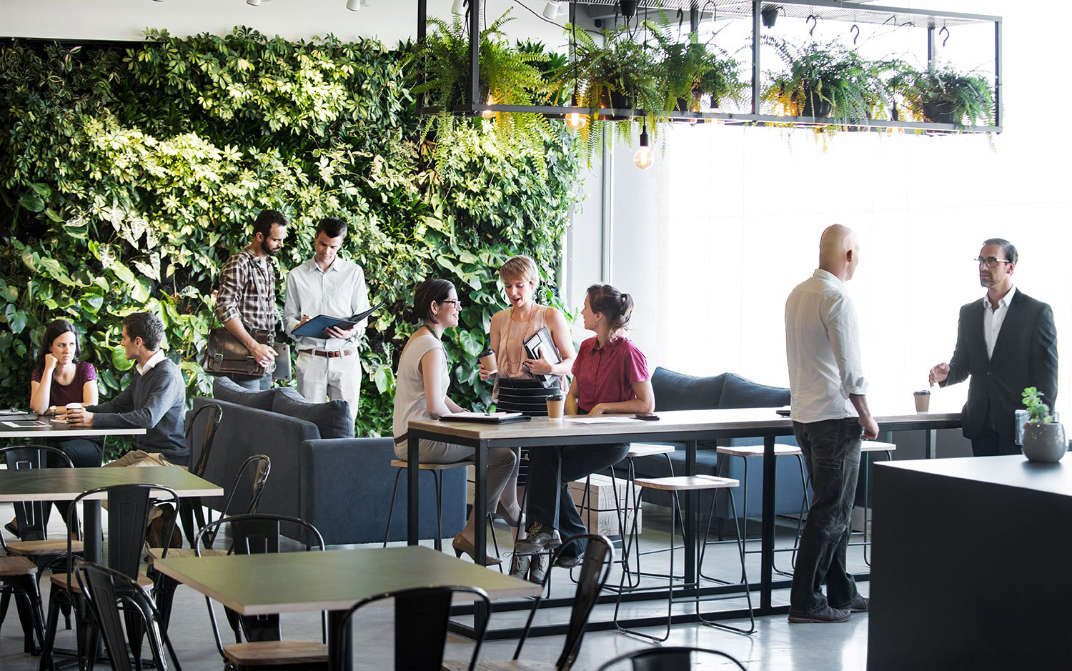 037 Biophilic Design Office
